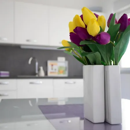 Apartment Atena Zaton Nin